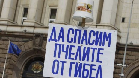 Пчелари на протест срещу никотиноидните пестициди