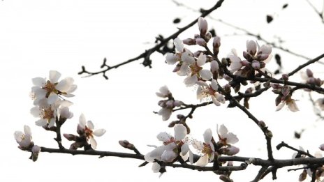 Слънце и малко дъжд: Температурите днес до 24&deg;