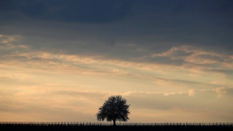 И утре градусите до 20, но с облаци и вятър