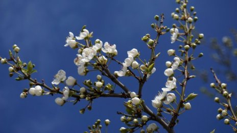 Времето утре: Облаци, дъжд, а в планините - сняг