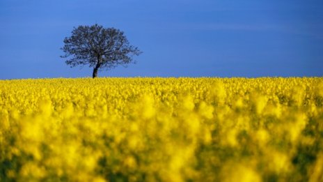 Идният петък &ndash; най-студеният ден до края на април