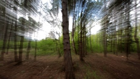 Столичани засадиха 3 000 дървета в Западен парк