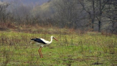 Неделята започва със слънце, следобед идва дъжд