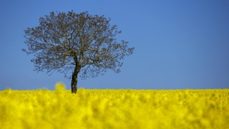 Затоплянето продължава и утре, чакат ни слънце и 22 градуса