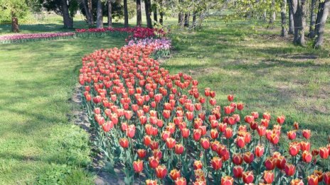 Още по-топло утре, температурите до 24 градуса