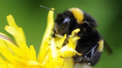 Лято насред пролет: Живакът удря 30&deg; днес