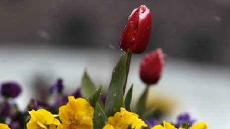 Вадете чадъра, но не и якето &ndash; топло и дъждовно ще е 