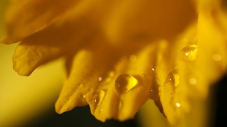 Облачно, тук-таме с дъжд и до 26 градуса: Времето утре