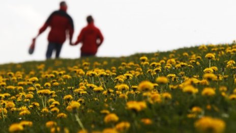 Май ще бъде пролет, лято, зима… И 3, и 31 градуса ще има