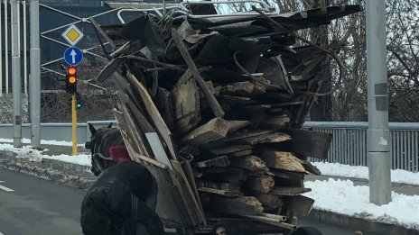 Хайка за незаконни дърва по дворове и къщи в Монтанско