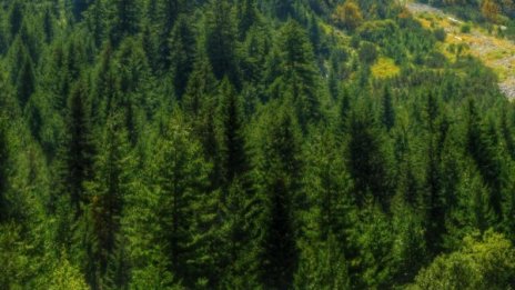 Загиналите туристи не са имали подходяща екипировка