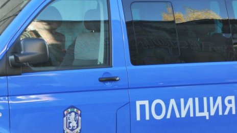 Жена загина при инцидент в депо за отпадъци край Плевенско