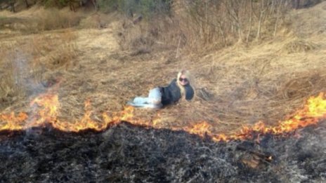 Слаб пол ли? Кандидатки за премията на Дарвин