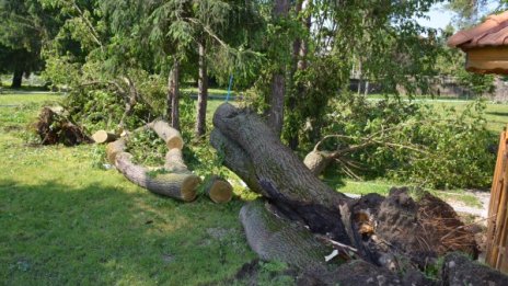Дупки, асфалт на парчета, залети градини... Пороят на североизток