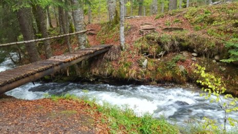 Неделно: На изток слънце, на запад - дъжд