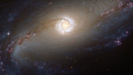 Българчета с успех в НАСА – космически град!