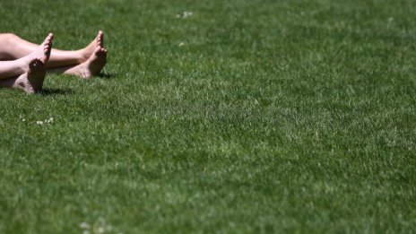 Тихо, топло, лятно: Температурите днес &ndash; до 31&deg;С