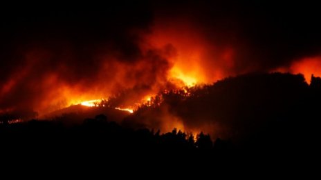 57 жертви на огъня в Португалия, няма пострадали българи