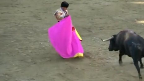 Корида, развят плащ... Загина тореадорът Фандиньо 