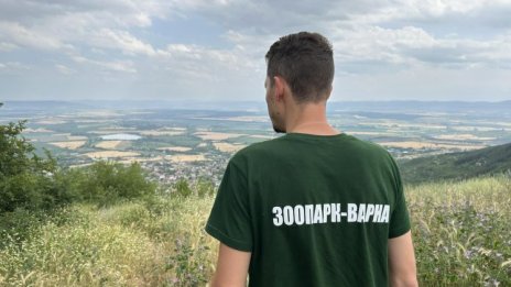 Фантом или не, черният леопард издейства компенсации на шуменски кръчми и хотели