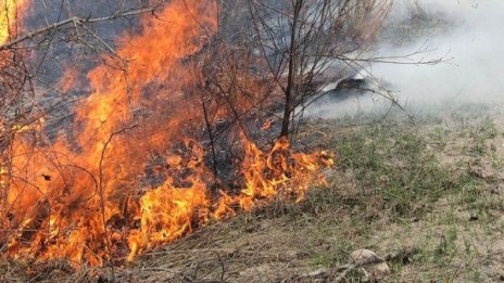 Дванадесет области в страната застрашени от пожари