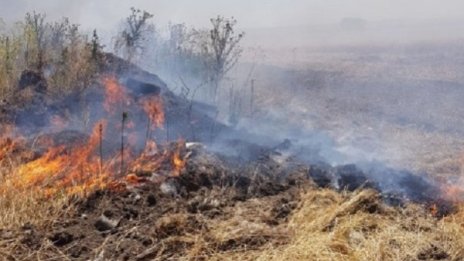 Пожар в Бургас: Изгоряха вили, постройки и автомобили 