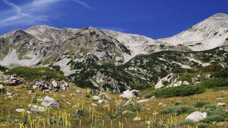 Знаете ли, че... Пирин е най-старият национален парк в България?
