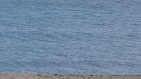 Откриха тялото на изчезнал таксиметров шофьор в Несебър