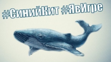 Родители, приятели... как да предпазим детето от "Син кит"?