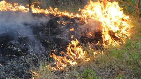 Военни се включиха в гасенето на пожара край Стара Кресна