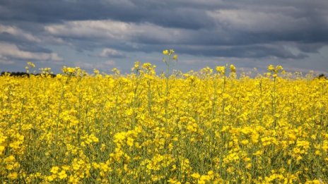 Слънчева сутрин, следобед &ndash; дъжд и гръмотевици