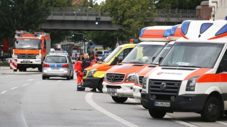 Трагедия в Германия: Мълния порази дърво, падна върху деца