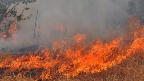 Опасност: Пожарът в Тополовградско може да се разпространи