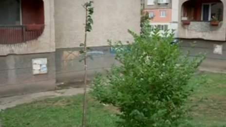 Новороденото, намерено в Перник, хвърлено от седмия етаж