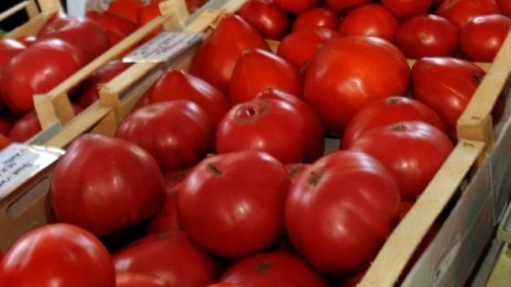 Жена си напазарува домати с фалшиви ?100