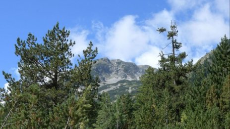 Времето утре: Слънце над планините и по морето