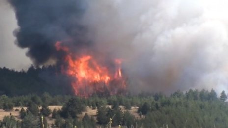 Огънят над Кресна обхвана 3000 дка, два вертолета на помощ