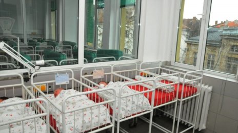 ОмбудМая втрещена от ин витро драмата на вдовицата Ася