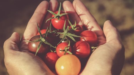 Знаци, че не приемате достатъчно калории