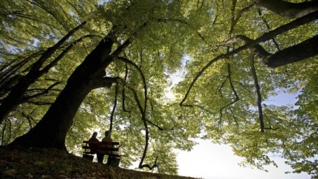 До края на седмицата: Горещо, малко есенен дъжд и пак жега