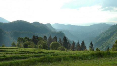 Температурите утре отново ще са летни - до 31 градуса