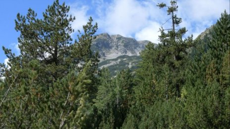 След 10 часа издирване: Спасиха турист край Ново село