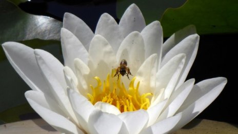 Времето във вторник &ndash; слънчево с малко облаци