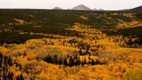 Прогнозата през октомври: Слънце, дъжд... Ноември &ndash; топъл и ясен