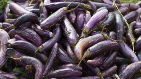 Хапвайте патладжан при анемия и за здрави кости