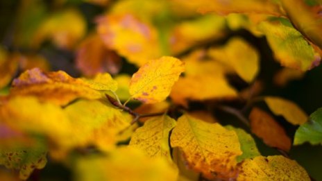 След студената сутрин: Слънчев и топъл вторник