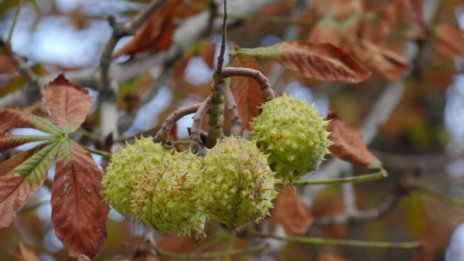 И облаци, и слънце: Времето в сряда остава тихо