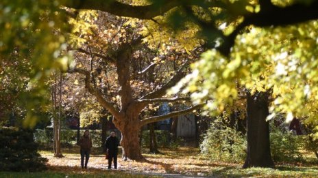 Сутринта &ndash; студено, следобед - температурите до 24 &deg;C