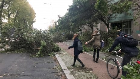 Седем жертви взе буря в Германия