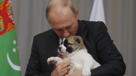 Камила, петел, кенгуру... Нестандартните дарове за световните лидери